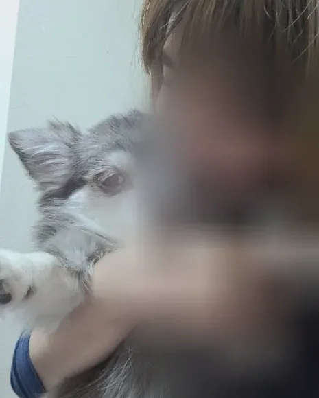Lejla, 30